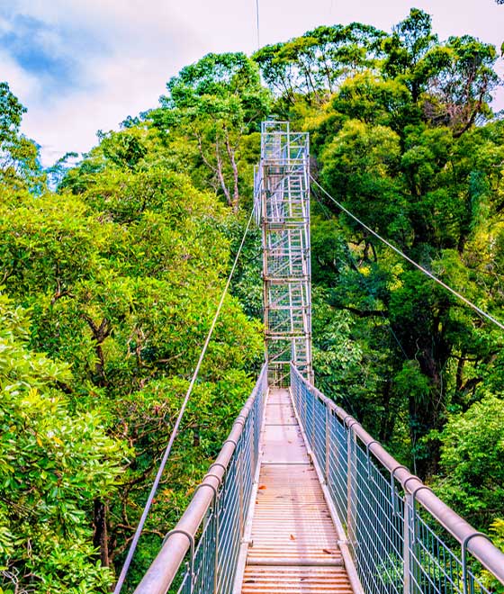 Ulu Temburong : Wonders of Nature