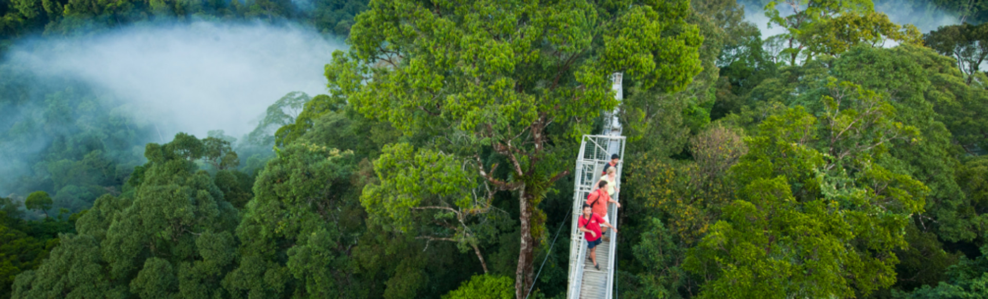 Temburong-011920x582px