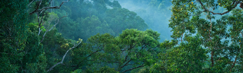 Temburong1920x582px